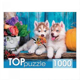 Пазлы 1000эл Два щенка хаски TOPpuzzle