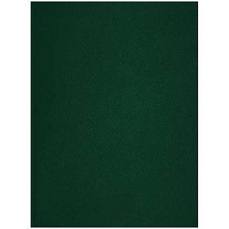 Тетрадь А4 96л кл "Бумвинил" зеленый