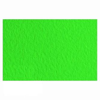 Бумага для пастели "Tiziano" 160г A4 21*29.7см 1шт Травяной