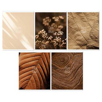 Тетрадь 96л КЛЕТКА "Calm down" эконом