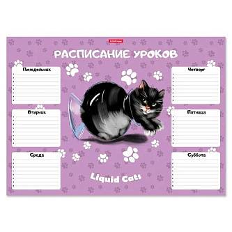 Расписание уроков ErichKrause Жидкие коты, А3