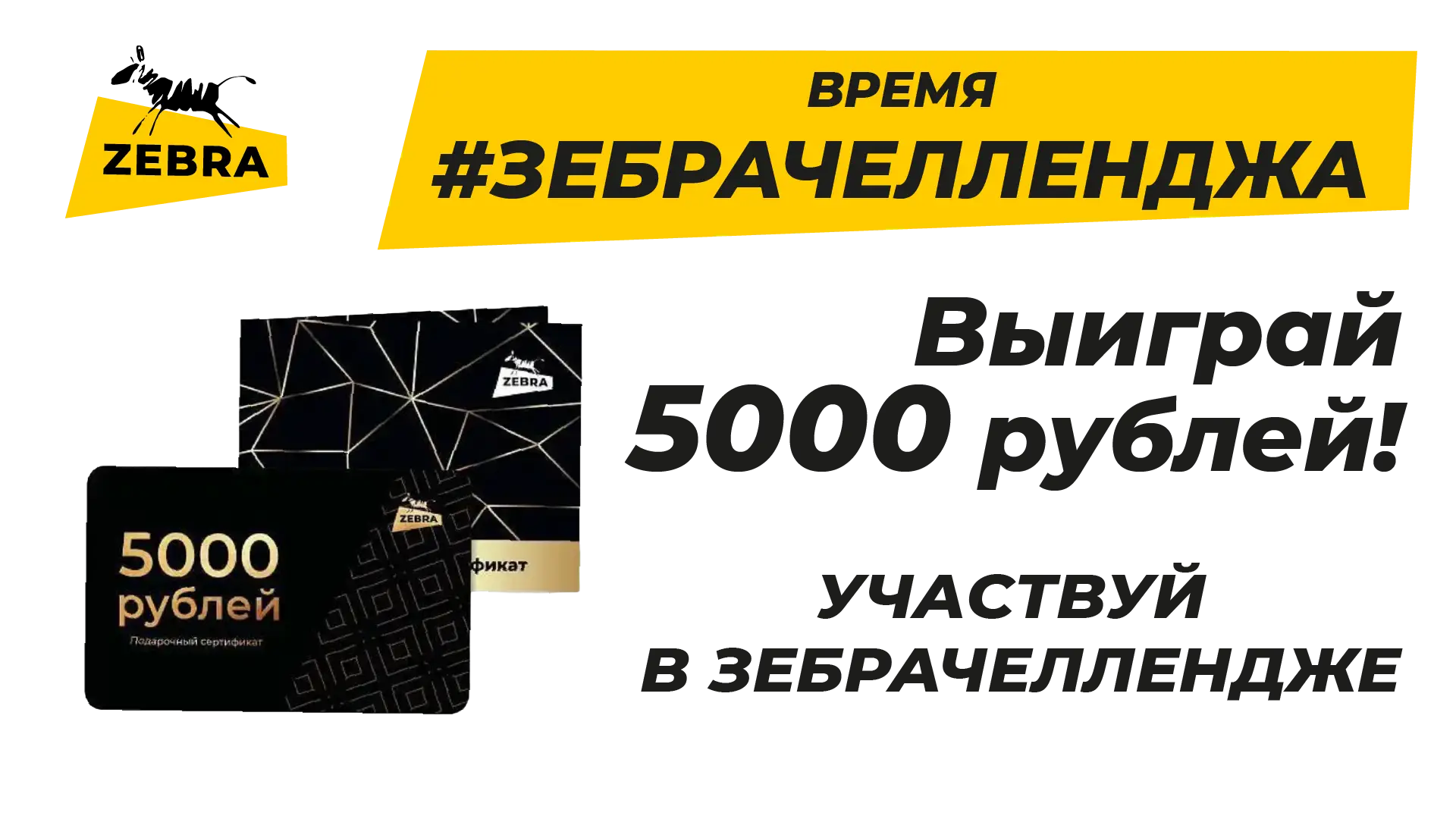 Зебрачеллендж, фото №1