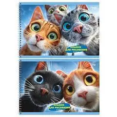 Альбом д/рис А4 40л гребень BG "Любопытные коты", фото №1