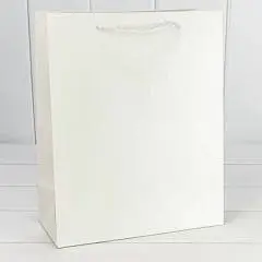 Сумка подарочная "Фактура-890" Белый 18*23*10см, фото №1