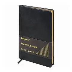 Еженедельник недат А5 "Iguana" синий, тв.обл, фото №1