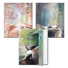 Обложки д/тетрадей Лучезарный кот 3шт 346*215мм ПВХ 70мкм, фото №1