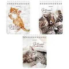Блокнот А6 40л кл "Милые котята" гребень, фото №1