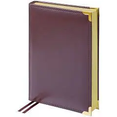 Ежедневник недат A5 Delucci, золот. срез, коричневый, метал.угол, фото №1