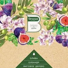 Ароматизатор Aromatherapy Созерцание красоты, 70мл, фото №1