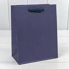 Сумка подарочная Крафт "Люкс" синий 18*23*10см, фото №1