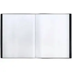 Папка с 20 вкладышами СТАММ А4, 500мкм, черная, фото №1