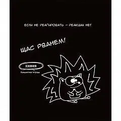 Тетрадь предметная 48л «Подслушано» Химия, тиснение холст, фото №1