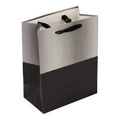 Сумка подарочная "Two color" 18*23*10см, фото №1