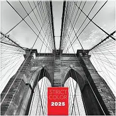 Календарь настенный BG Strict color 2025 год 290 х 290 мм 12л., фото №1