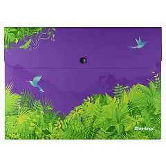 Папка-конверт на кнопке Berlingo "Flower Art" А4, фото №1