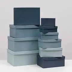 Коробка подарочная "Барракуда" 10-6, фото №1