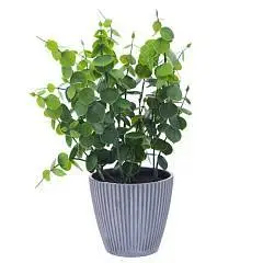 Цветочная композиция, L16 W16 H26 см, фото №1