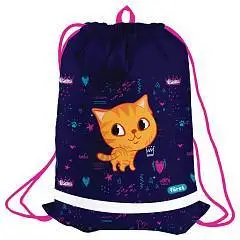 Мешок для обуви 1 отделение   Funny cat   360*470мм, фото №1