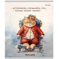 Тетрадь предметная 48л «Жил был кот» История, фото №1