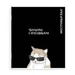 Тетрадь предметная 48л «КОТЫ МЕМЫ» ИНОСТРАННЫЙ ЯЗЫК, фото №1