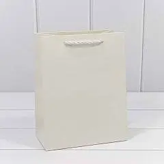 Сумка подарочная "Фактура" Белый 18*23*10см, фото №1