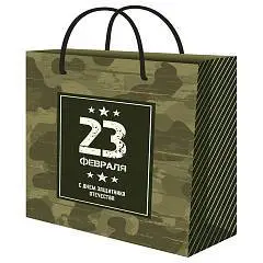 Сумка подарочная "Праздник милитари" 23 февраля 26,4х32,7x8 см, фото №1
