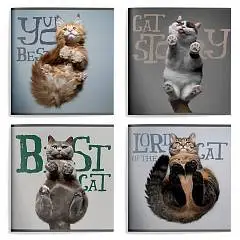 Тетрадь 48л ЛИНИЯ "ЛАПЫ КОТА" мел. карт., ВД-лак, фото №1