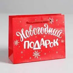 Сумка подарочная «Новогодний подарок» 5,5х15х12 см, фото №1