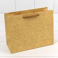 Сумка подарочная Крафт "Люкс" 23*18*10см, фото №1