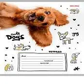 Детальное фото