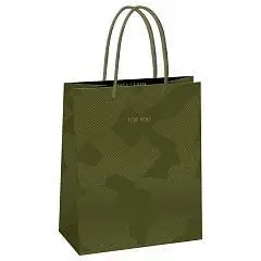 Сумка подарочная "Green pattern" 18*23*10см, фото №1