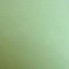 Бумага для пастели «Lana Colours» 50*65см 160г зеленый сок 1шт, фото №1