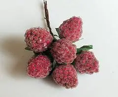 Набор малины засахаренной на вставках 6шт., 11см, малиновый, фото №1