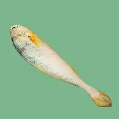 Игрушка мягкая-антисресс "Рыба". 100 см, фото №1