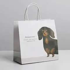 Сумка подарочная «Пирожочек», 22 х 22 х 11 см, фото №1