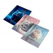 Детальное фото