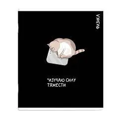 Тетрадь предметная 48л «КОТЫ МЕМЫ» ФИЗИКА, фото №1