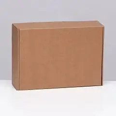 Коробка самосборная, бурая 31х22х9.5 см, фото №1