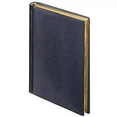 Ежедневник недат А6 "Iguana" черный, тв.обл., фото №1