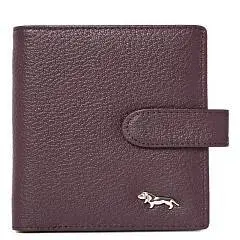 Обложка для пасп. LABRA, кожа d/plum, фото №1