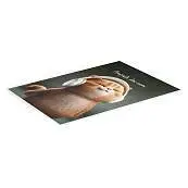 Детальное фото