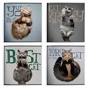 Детальное фото