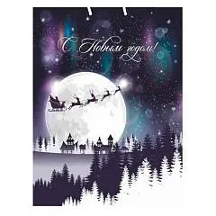 Сумка подарочная "Волшебная луна" мат.лам.и тис.фол.26х32х10см, фото №1