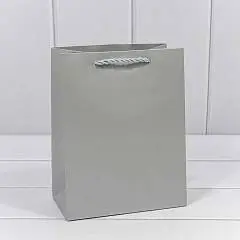 Сумка подарочная "Фактура" Серебряная 18*23*10см, фото №1