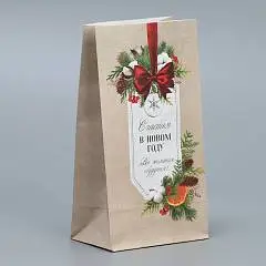 Пакет без ручек «Все желания сбудутся», 10 х 19.5 х 7 см, фото №1