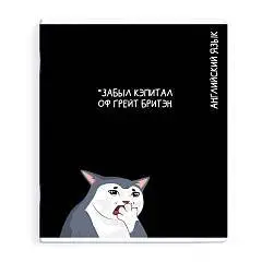 Тетрадь предметная 48л «КОТЫ МЕМЫ» АНГЛИЙСКИЙ ЯЗЫК, фото №1