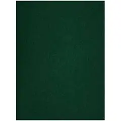 Тетрадь А4 96л кл "Бумвинил" зеленый, фото №1