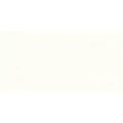 Бумага для пастели "Tiziano" 160г 50*65см 1 шт Белый, фото №1