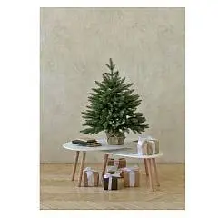 Ель настольная Романовская 0,9 м (пенек+мешковина), фото №1