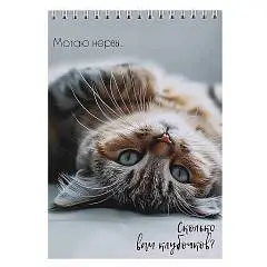 Скетчбук  А5 30л 140*200 Кошачья Жизнь 180г спираль, фото №1